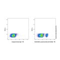 Lucatumumab (anti-CD40)