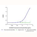 Ponezumab (anti-Amyloid Beta)