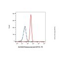Robatumumab (anti-IGF1R)