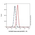 Vesencumab (anti-NRP1)