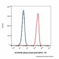 Zalutumumab (anti-EGFR)