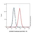 Teneliximab (anti-CD40)
