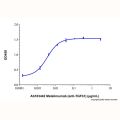 Metelimumab (anti-TGFb1)