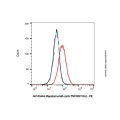 Mapatumumab (anti-TNFRSF10A)