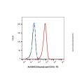 Erlizumab (anti-CD18)