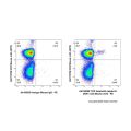 TCR Valpha24-Jalpha18 (iNKT cell) Mouse mAb