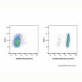CD45 Rat mAb (FITC)
