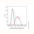 CD86 Rat mAb (Biotin)