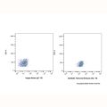 Feline CD16 Mouse mAb
