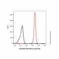 CD5 Mouse mAb (PE)