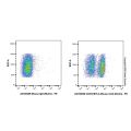 CD272/BTLA Mouse mAb (Biotin)