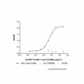 AB3-7 (anti-CLDN6)