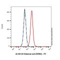 Disitamab (anti-ERBB2)
