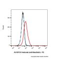 Anetumab (anti-Mesothelin)