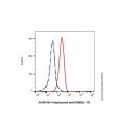 Timigutuzumab (anti-ERBB2)
