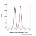 XmAb 5592 (anti-BST2)