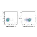 CD44 Rat mAb (Biotin)