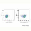 CD44 Rat mAb (FITC)