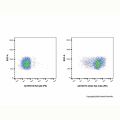 CD44 Rat mAb (PE)