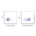 CD44 Rat mAb (PE-Cy5)