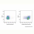 CD44 Rat mAb (APC)