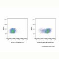 CD44 Rat mAb (AF647)