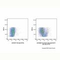 Transferrin Receptor/CD71 Rat mAb (FITC)