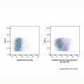 Transferrin Receptor/CD71 Rat mAb (PE)