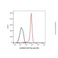 CD31 Rat mAb (PE)