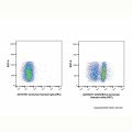 CD272/BTLA Armenian Hamster mAb (APC)