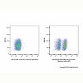 CD272/BTLA Armenian Hamster mAb (PE)