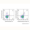 GITR/CD357 Rat mAb (Biotin)