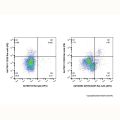 GITR/CD357 Rat mAb (APC)