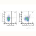 GITR/CD357 Rat mAb (AF647)