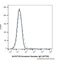 Armenian Hamster IgG (AF700)