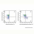EpCAM/CD326 Rat mAb (Biotin)