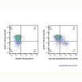 EpCAM/CD326 Rat mAb (AF647)