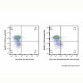 EpCAM/CD326 Rat mAb (AF700)