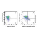 EpCAM/CD326 Rat mAb (FITC)