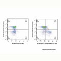 EpCAM/CD326 Rat mAb (PE)