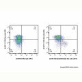 EpCAM/CD326 Rat mAb (APC)