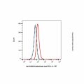 Adebrelimab (anti-PD-L1)