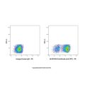Grisnilimab (anti-CD7)