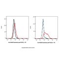 Rulonilimab (anti-PDCD1)