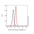Coprelotamab (anti-ERBB2)
