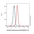 Duligotuzumab (anti-EGFR&HER3)