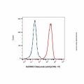 Citatuzumab (anti-EpCAM)