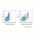 CD14 Mouse mAb (AF405)
