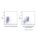 CD16.2/FcγRIV Armenian hamster mAb (AF647)