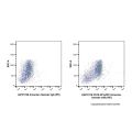 CD16.2/FcγRIV Armenian hamster mAb (PE)